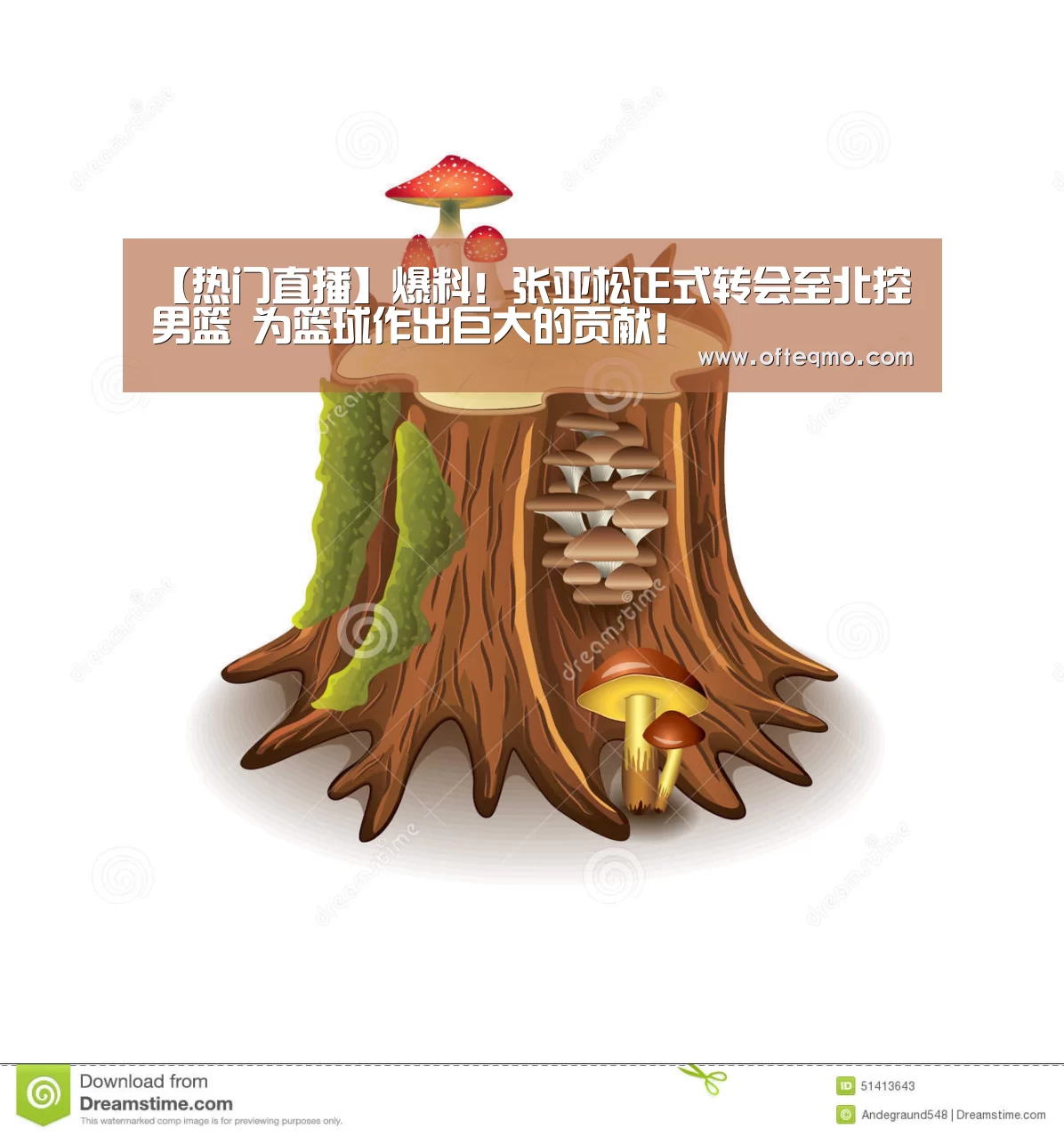 【热门直播】爆料!张亚松正式转会至北控男篮 为篮球作出巨大的贡献!(图1) 官方入口