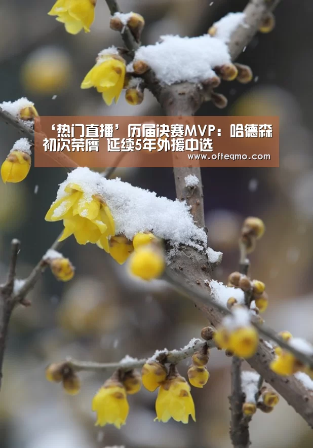 ‘热门直播’历届决赛MVP:哈德森初次荣膺 延续5年外援中选(图2) 欧宝体育(官方)